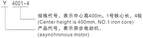 西安泰富西玛Y系列(H355-1000)高压ZSN4-280-21B三相异步电机型号说明